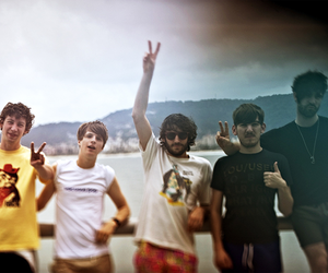 Foals Foals