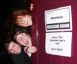The Wombats The Wombats