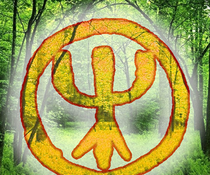 Deep Forest Deep Forest