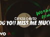 Craig David - Do You Miss Me Much (Wookie Remix) (Audio)