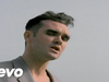 Morrissey - Certain People I Know