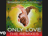 Shaggy - Only Love (Luca Schreiner Tropical House Chelsea Mix) (Audio)