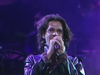 INXS - Burn For You - Rocking The Royals