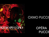 Oxmo Puccino - Black Cyrano de Bergerac (Interlude)