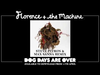 Florence and the Machine - Dog Days Are Over (Steve Pitron and Max Sanna remix)