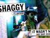 Shaggy - It Wasn't Me (Hot Shot 2020) (feat. Rayvon)