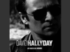 David Hallyday - Le poids d'être un homme