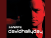 David Hallyday - Pardonnez-moi