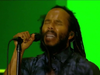 Ziggy Marley – High On Life | Live at Exit Festival (2018)