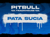 Pitbull - Pata Sucia (Visualizer)