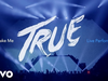 Avicii - You Make Me (Live in Uncasville, True Tour 2014)