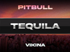 Pitbull x Vikina - Tequila (Visualizer)