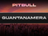 Pitbull - Guantanamera (Visualizer)