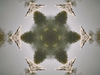 John Butler - Pray for My People (Official Visualiser)