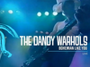 The Dandy Warhols - Bohemian Like You (Live on Rove 2001)