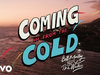 Bob Marley & The Wailers - Coming In From The Cold (Visualizer)