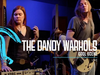 The Dandy Warhols - Cool Scene (Live in Portland)