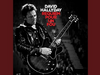 David Hallyday - Le Plus Heureux des Hommes (Live)