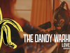 The Dandy Warhols - Love Song (The Damned Cover)