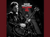 David Hallyday - Allumer le Feu