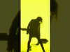 Metallica - #OnThisDay in 2023, our video for 'Chasing Light,' directed by Kim Asendorf & Dina Chang, debuted...