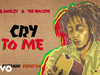 Bob Marley & The Wailers - Cry To Me (Visualizer)