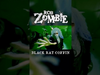 Rob Zombie - Watch the video for Black Rat Coffin out now!!! ⚰️⚰️