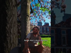 John Butler Trio - A bit more on Betterman! Thank you for the love on the re-mastered version.