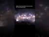 David Guetta - Your energy was insane Tomorrowland!! ️️️